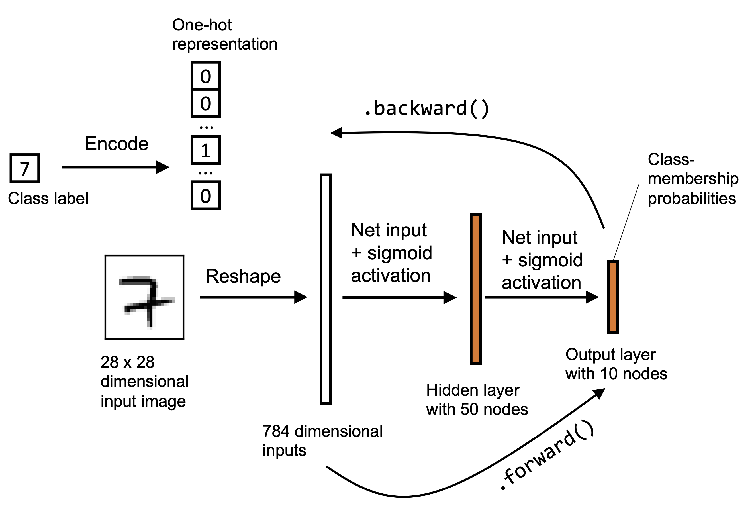 MNIST MLP shape
