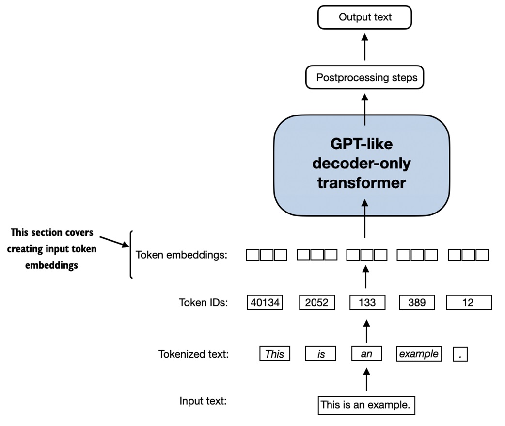 Token IDs to embeddings